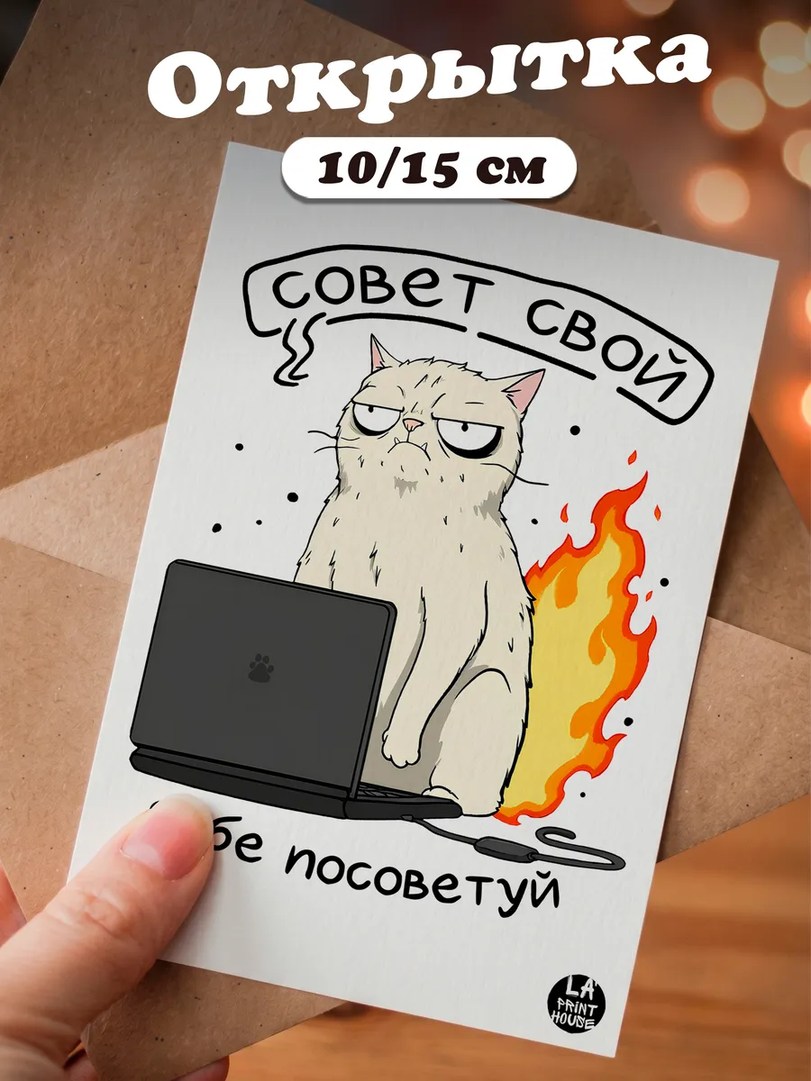 Прикольная открытка с котом Совет свой — Другое · 300